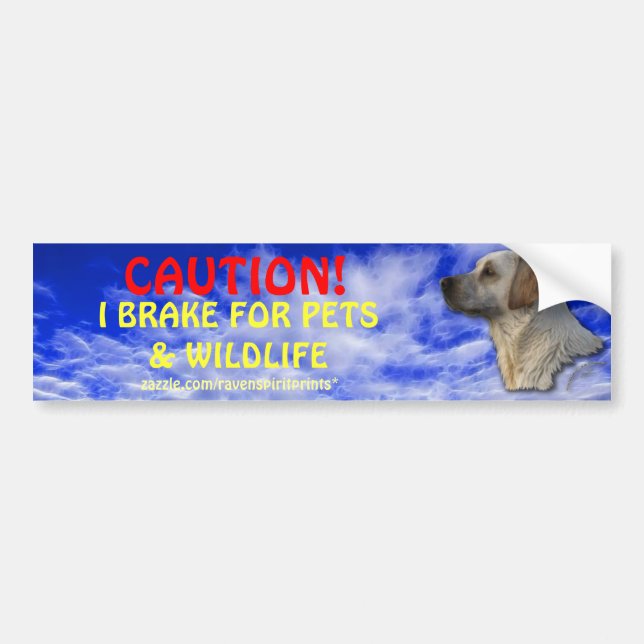 Pet & Wildlife Safety Bumper Sticker (Front)