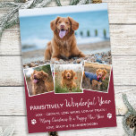 Pet Year in Review Red Dog Photo Collage Holiday Card<br><div class="desc">Introducing our newest holiday cards collection, perfect for animal lovers and pet owners! Our "Pawsitively Wonderful Year" cards showcase your furry family members in a cute, modern, and funny way. These cards are stylish and festive, featuring a photo collage of your family pets throughout the year. Our cards are designed...</div>
