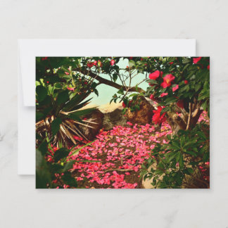Petal Haven by the Water’s Edge Postcard
