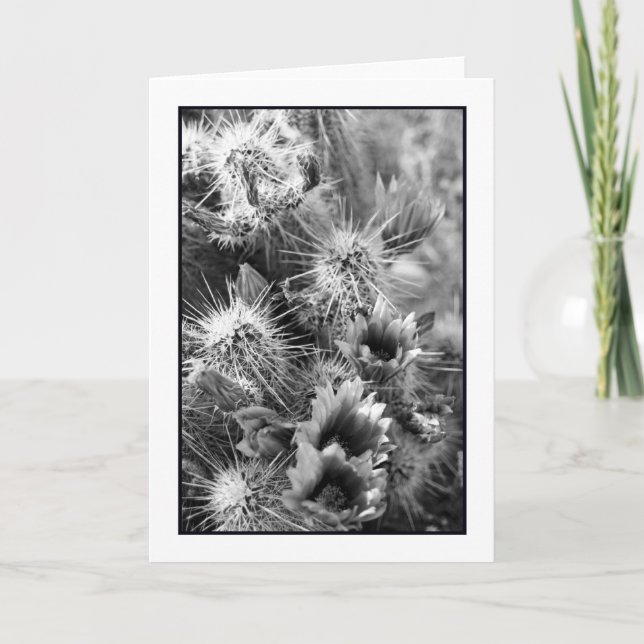 Petal Opposites Greeting Card (Front)