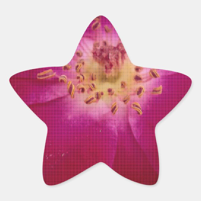 Petal Perfection: Chequered Rose Petal Pattern Art Star Sticker (Front)