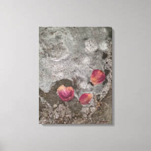 Petals Ashore Canvas Print