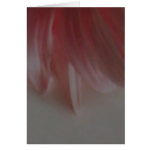 Petals ~ Card / Invitations