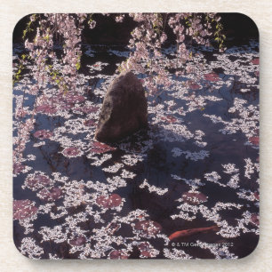 Petals floating on fish pond coaster