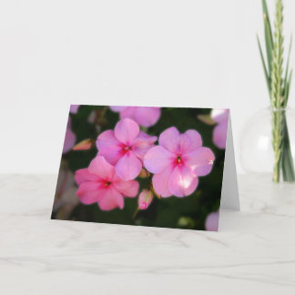 Petals in Pink Card