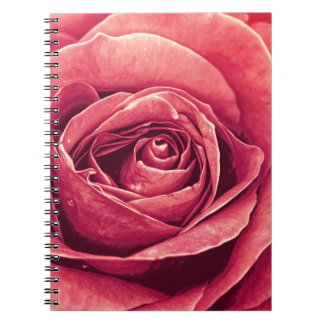 Petals of A Rose Notebook