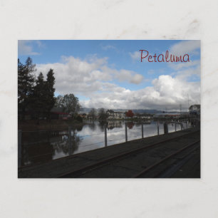 Petaluma, CA Postcard