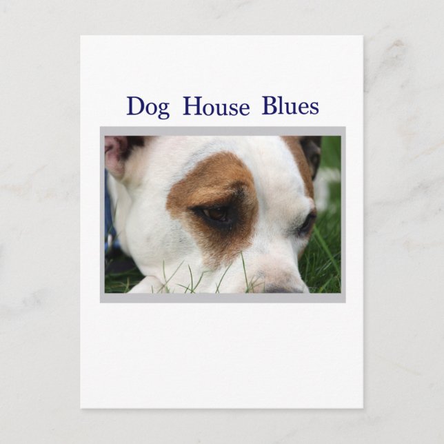 Pete Pit1 Postcard (Front)