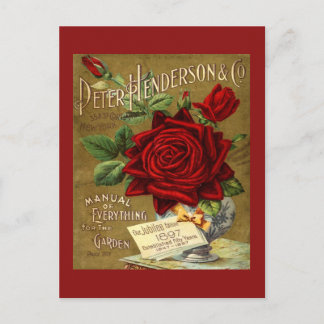 Peter Henderson & Co. Garden Catalogue Ad Postcard