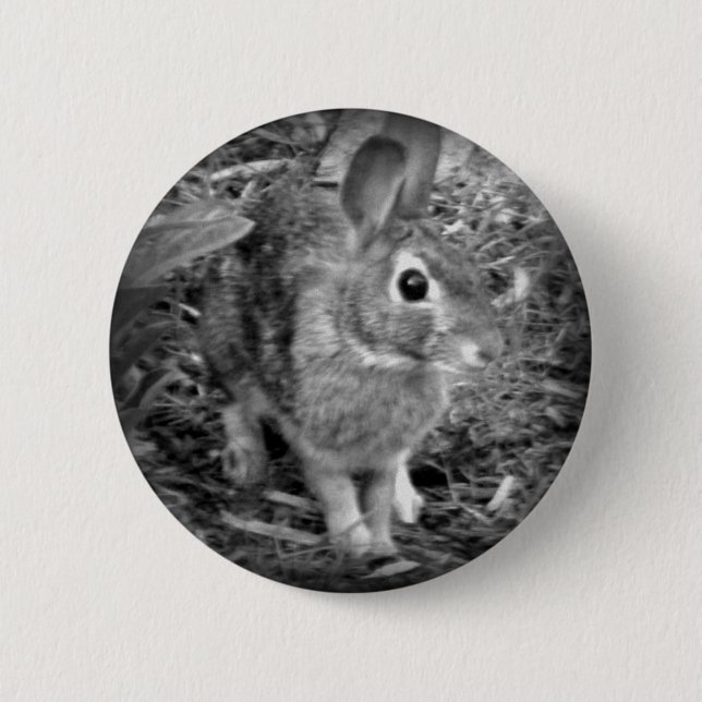 Peter Rabbit 6 Cm Round Badge (Front)