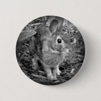 Peter Rabbit 6 Cm Round Badge