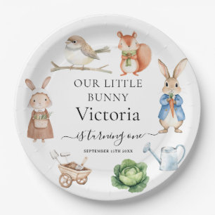Peter Rabbit Animals Garden Tools Birthday Party  Paper Plate