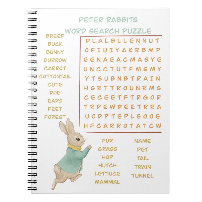 Peter Rabbit Kids Birthday&Game Notebook (Front)