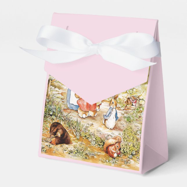 Peter the Rabbit  Favour Box (Front Side)