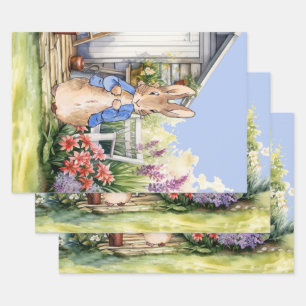 Peter the Rabbit Garden Shed Wrapping Paper Sheet