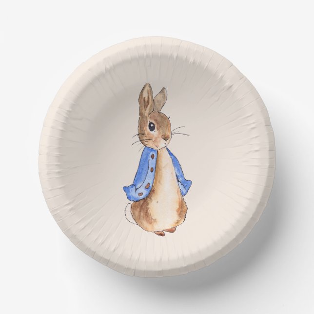 Peter the Rabbit   Paper Plate (Front)