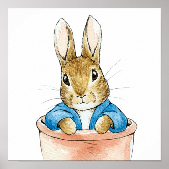 Peter the Rabbit Sitting in a Plant Pot   Poster (Front)