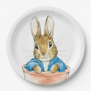 Peter the Rabbit Sitting in a Pot Paper Plate