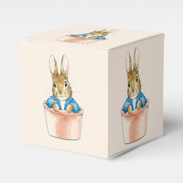 Peter the Rabbit Sitting in Plant Pot Favour Box (Front Side)