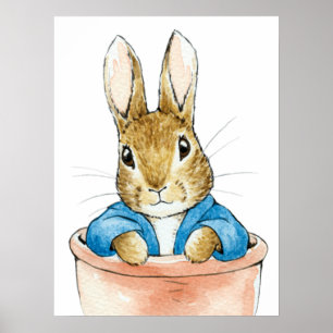 Peter the Rabbit Sitting in Plant Pot Poster
