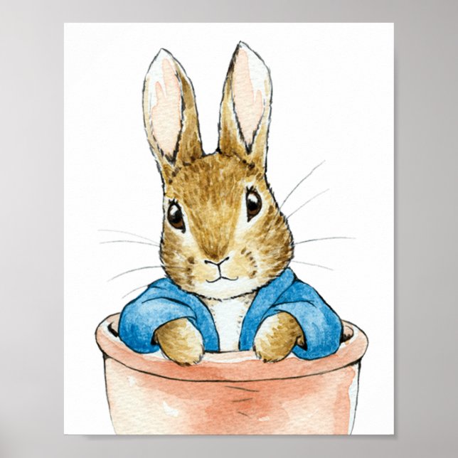 Peter the Rabbit Sitting in Plant Pot       Poster (Front)