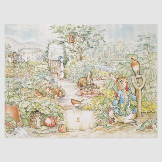 Peter the Rabbit  Tissue Paper (Front)