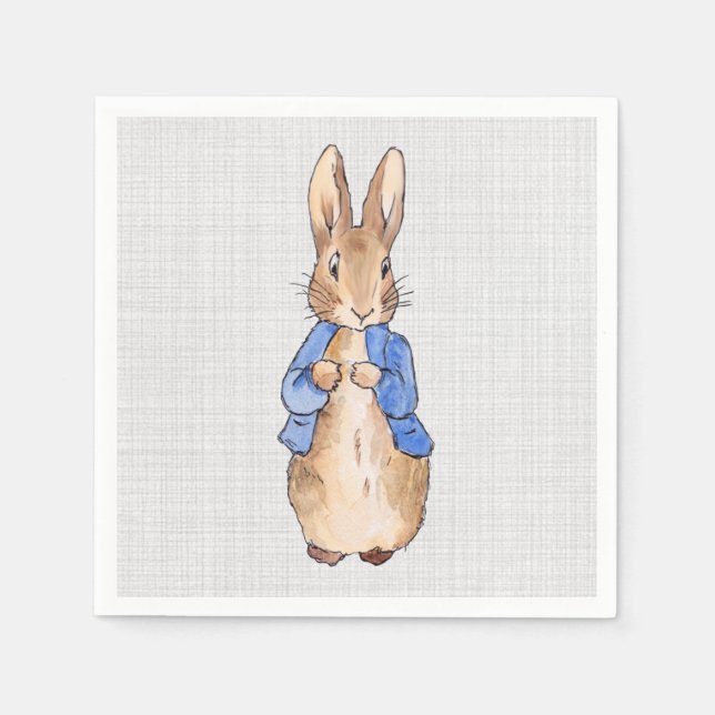 Peter with a Gray Linen background Napkin (Front)