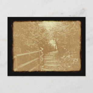 Peterson Park, Northport, Michigan - Postcard