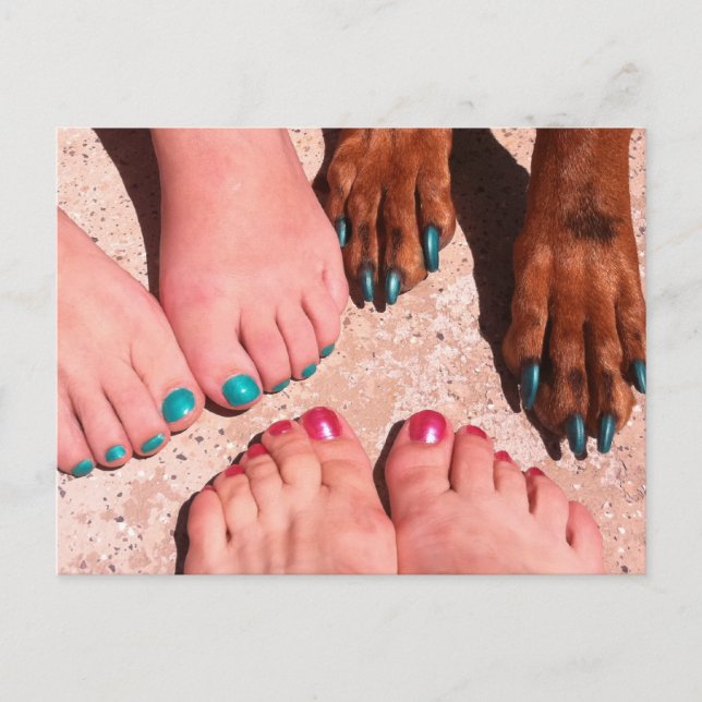 Peticure - Pedicure Spa Day Postcard (Front)