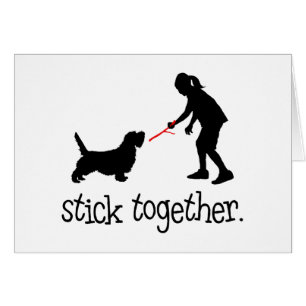 Petit Basset Griffon Vendeen