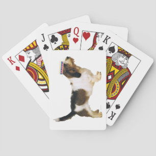 Petit Basset Griffon Vendeen Dapper Playing Cards