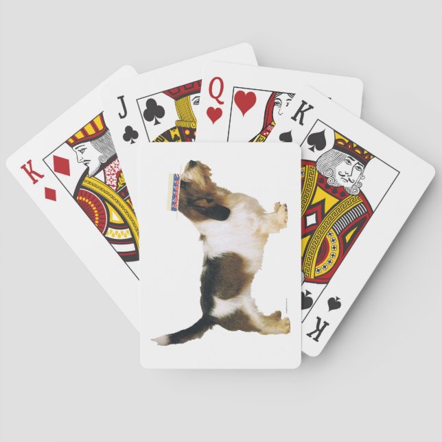 Petit Basset Griffon Vendeen Dapper Playing Cards (Back)