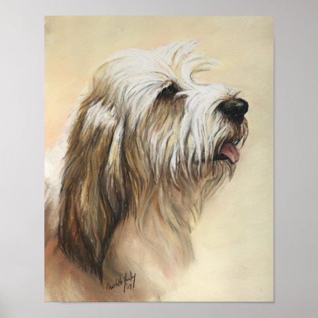 Petit Basset Griffon Vendeen Dog Art Print (Front)