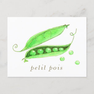 Petit Pois  Postcard