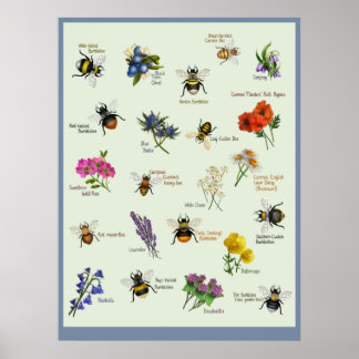 PetitArt | British Bee & Wild flower  Poster