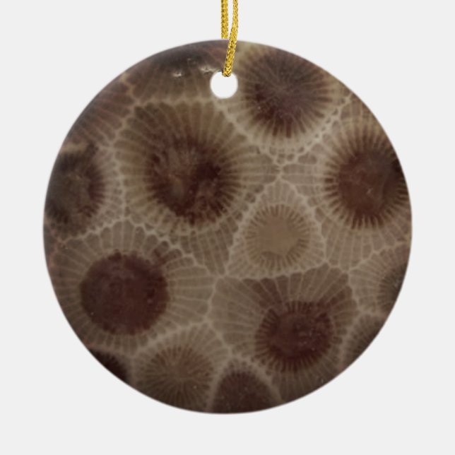 Petoskey Stone Ceramic Tree Decoration (Front)