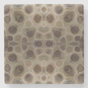 Petoskey Stone Coaster