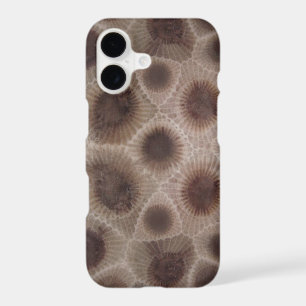 Petoskey Stone michigan state stone