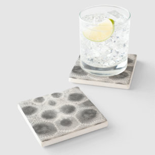 Petoskey Stone Pattern Coaster