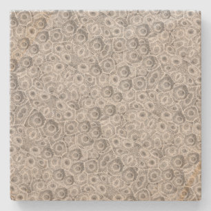 Petoskey Stone Pattern Stone Coaster