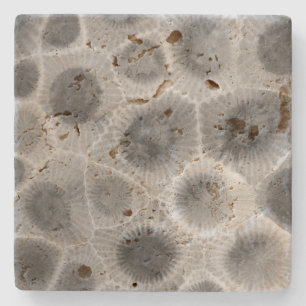 Petoskey Stone Pattern Stone Coaster