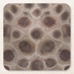 Petoskey Stone Square Paper Coaster