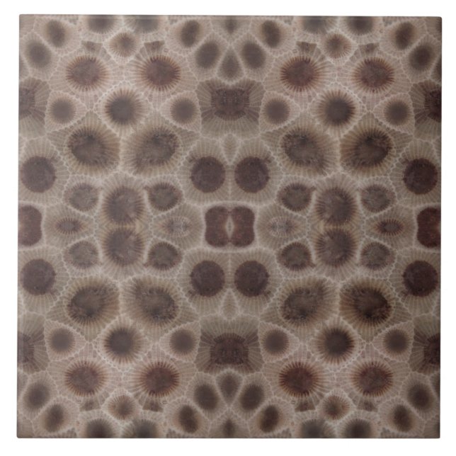 Petoskey Stone Tile (Front)