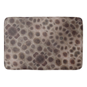 Petoskey Stones   Michigan State stone  Bath Mat
