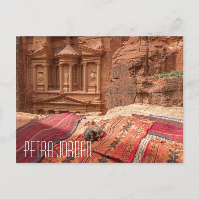 Petra Jordan  cat Postcard (Front)