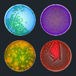 Petri Dish Coaster Set<br><div class="desc">Set of 4 Coasters designed like 4 Petri Dishes</div>