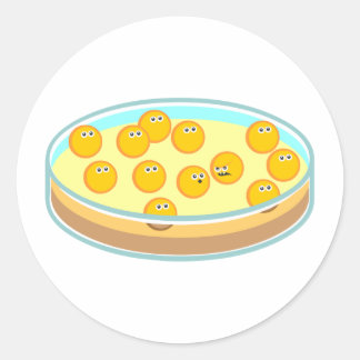 Petri Dish MRSA Classic Round Sticker