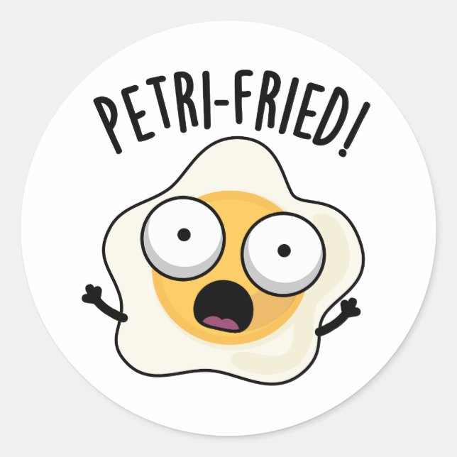 Petri-fried Funny Fried Egg Pun  Classic Round Sticker (Front)