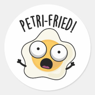 Petri-fried Funny Fried Egg Pun  Classic Round Sticker