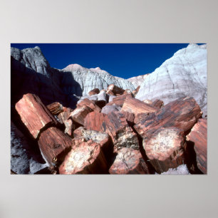 Petriefied Wood, Petrified Forest NP, Arizona Poster